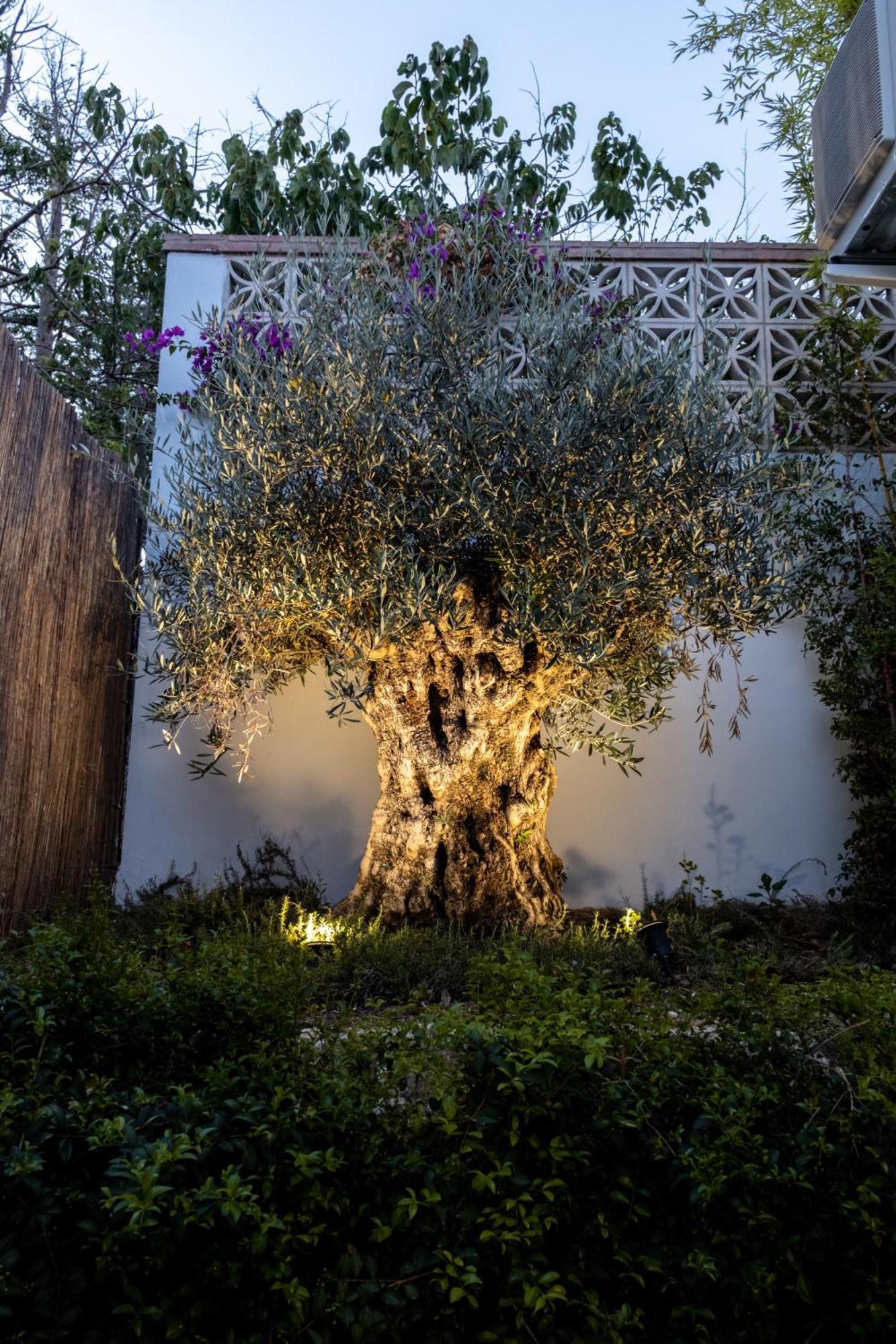 Casa Bodhi Boutique Hotel & Spa Marbella Exterior foto